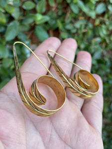 Curved Feather Earrings